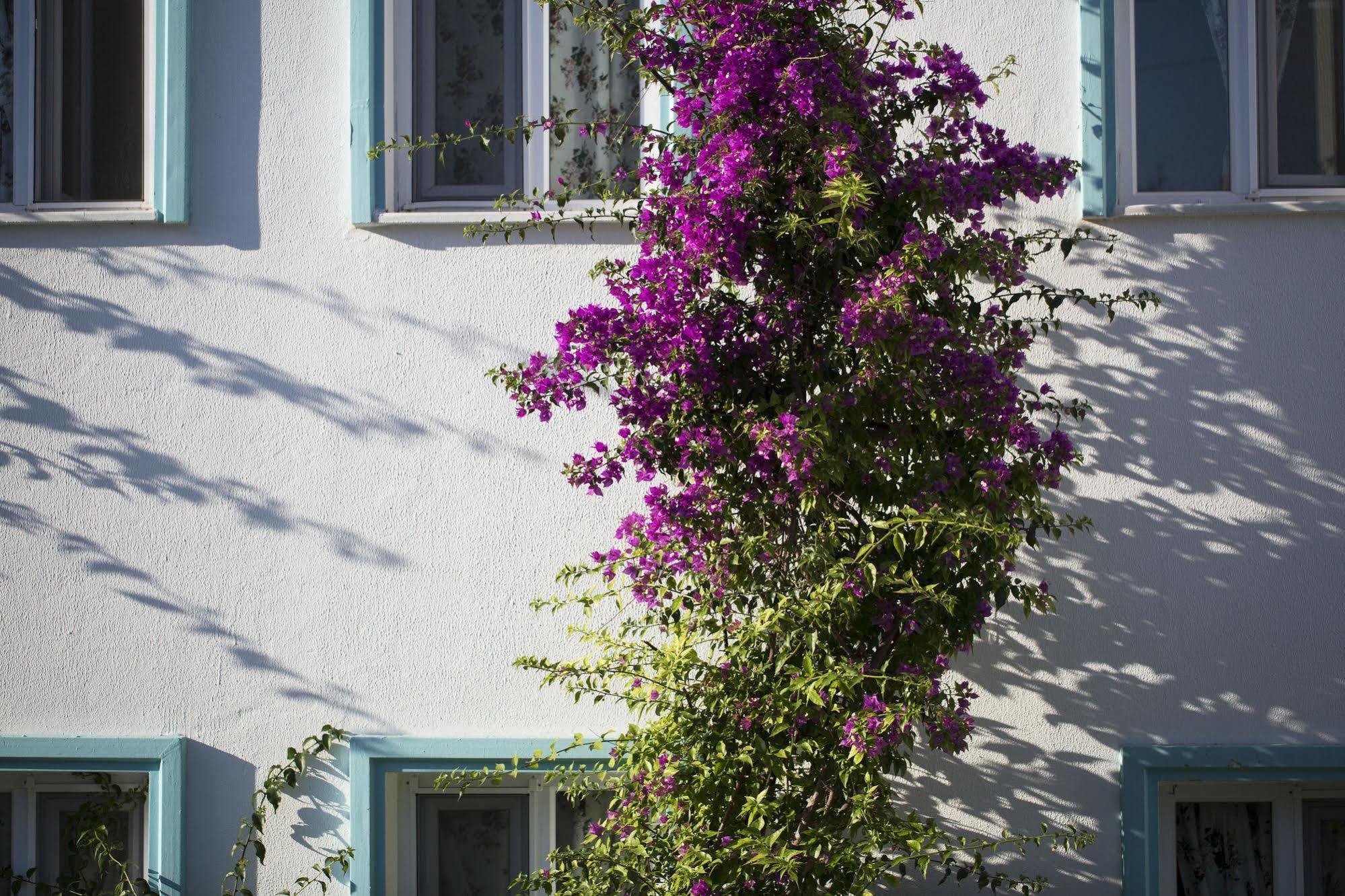 Istanbul Hotel Bodrum Türkbükü Extérieur photo